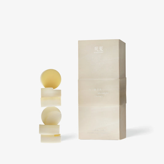 【NEW】AUTUMN SCENTED WAX TABLET - Autumn Limited