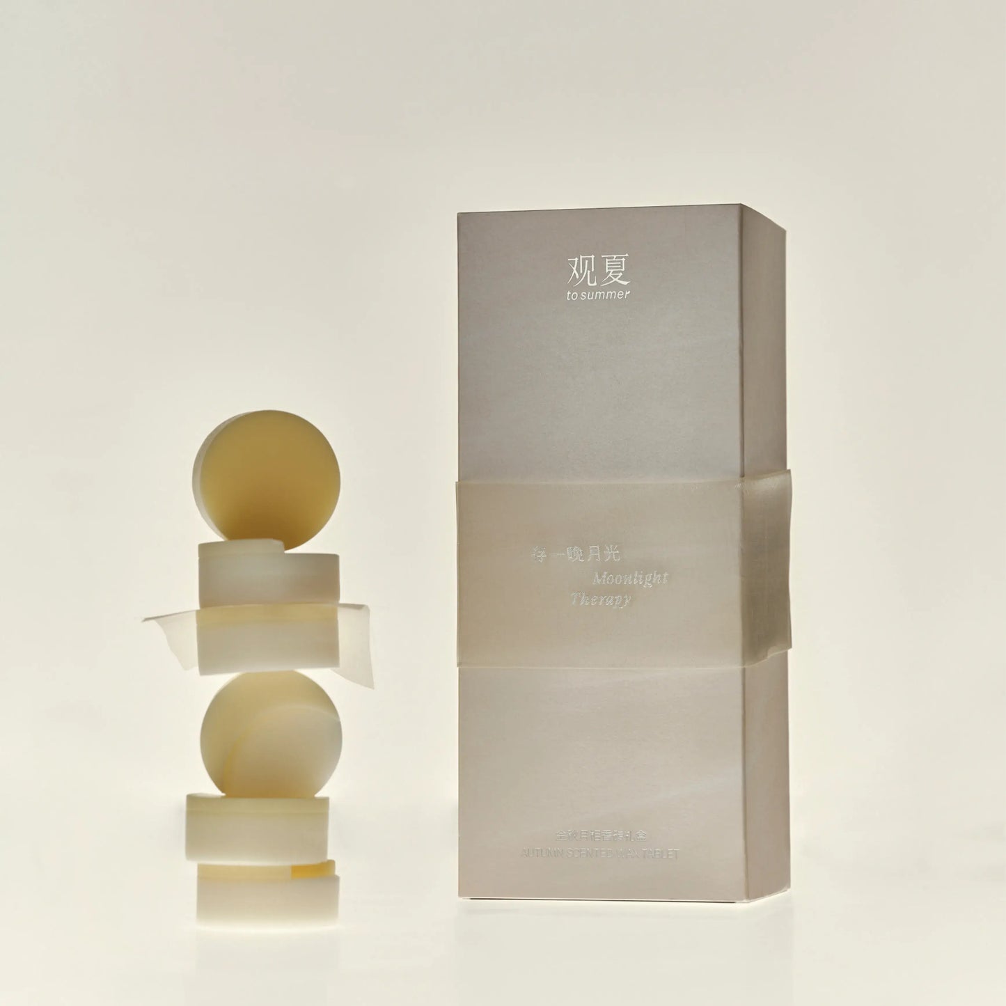 【NEW】AUTUMN SCENTED WAX TABLET - Autumn Limited