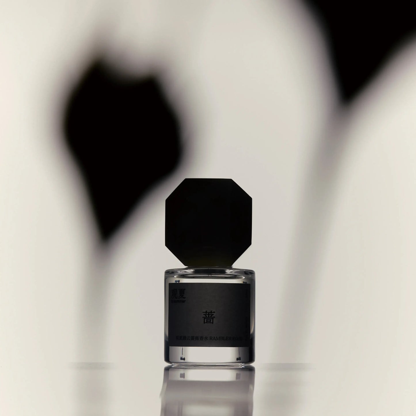 Rambler Rose perfume bottle with a dark octagonal cap under soft shadow, creating a moody and elegant atmosphere.