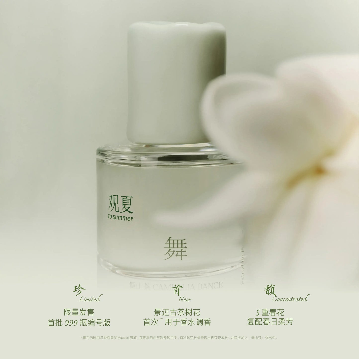 【NEW】CAMELLIA DANCE PERFUME 30ML - OPEN&CLOSE LIMITED EDITION