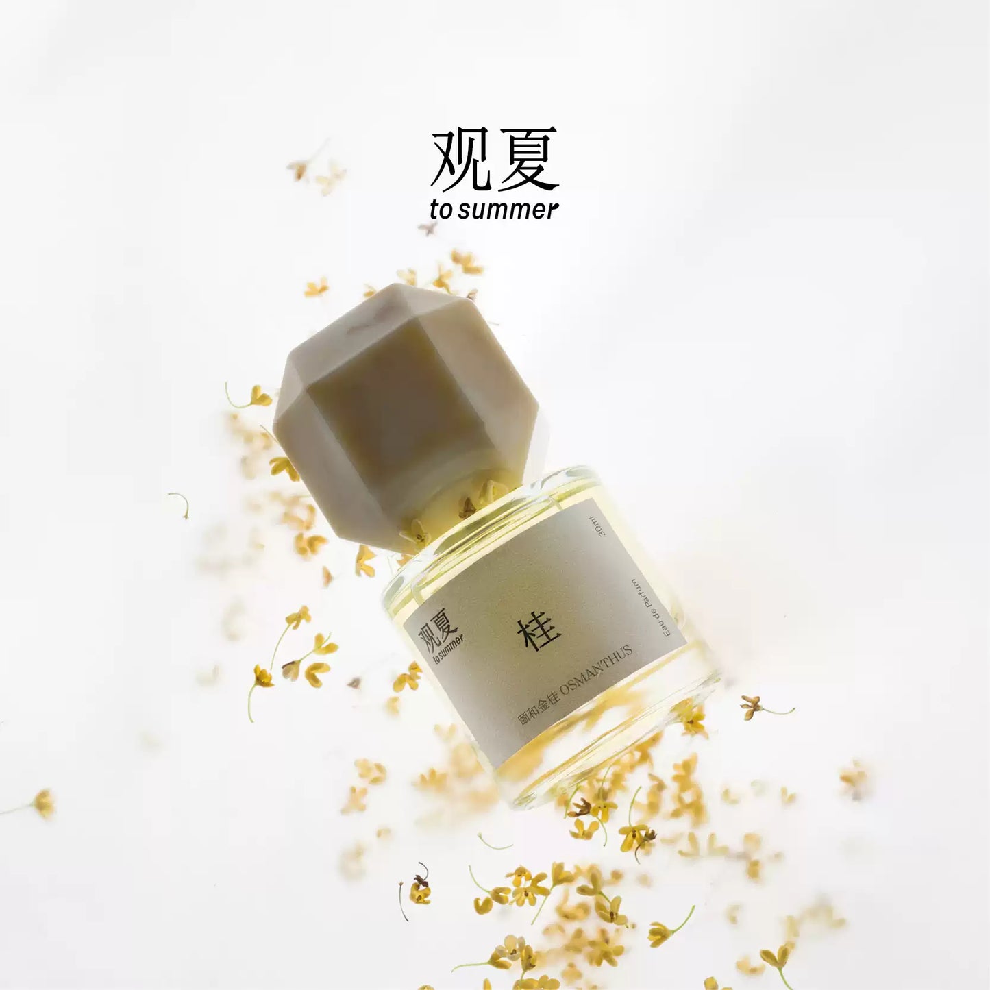 To Summer Osmanthus perfume surrounded by blooming golden flowers, capturing the scent of autumn nostalgia and calm.
